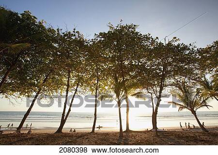 Stock Photo - Playa Santa Teresa (Santa Teresa Beach) In Santa Teresa And Mal Pais (Malpais) On The Nicoya Peninsula; Puntarenas Province, Costa Rica. Fotosearch