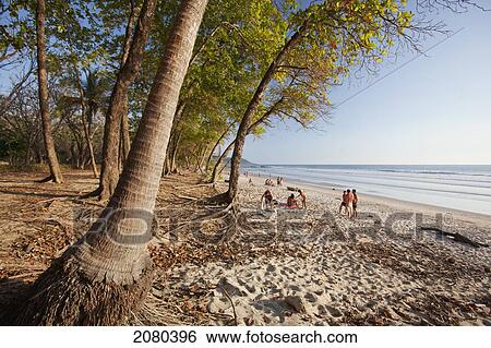 Stock Photograph - Playa Santa Teresa (Santa Teresa Beach) In Santa Teresa And Mal Pais (Malpais) On The Nicoya Peninsula; Puntarenas Province, Costa Rica. Fotosearch