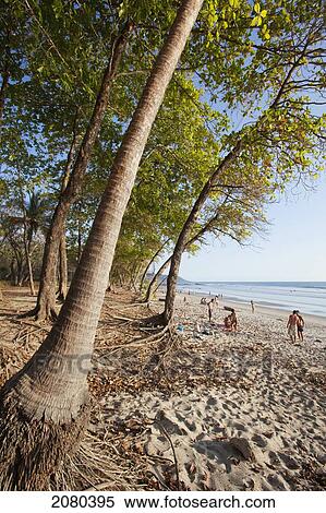 Stock Photography - Playa Santa Teresa (Santa Teresa Beach) In Santa Teresa And Mal Pais (Malpais) On The Nicoya Peninsula; Puntarenas Province, Costa Rica. Fotosearch