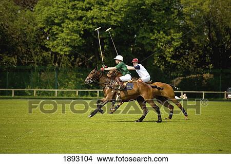 Picture - Playing Polo In Phoenix Park; Dublin, Ireland. Fotosearch