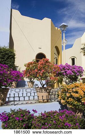 Plaza Bonita Shopping Mall, Cabo San Lucas, Baja California, Mexico View Large Photo Image Stock Image - Plaza Bonita Shopping Mall, Cabo San Lucas, Baja California, Mexico. Fotosearch