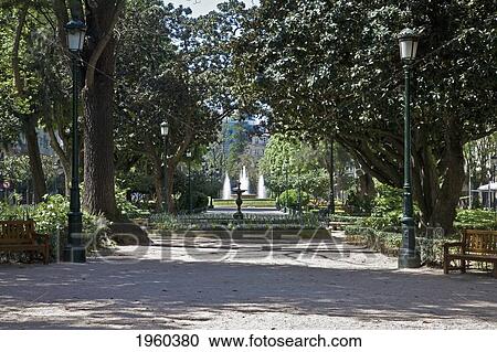 Plaza De Compostela And The Alameda Gardens; Vigo, Spain View Large Photo Image Stock Image - Plaza De Compostela And The Alameda Gardens; Vigo, Spain. Fotosearch