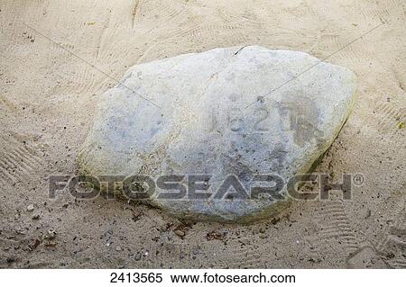 Plymouth Rock, site of the Mayflower landing; Plymouth, Massachusetts, United States of America View Large Photo Image Stock Photography - Plymouth Rock, site of the Mayflower landing; Plymouth, Massachusetts, United States of America. Fotosearch