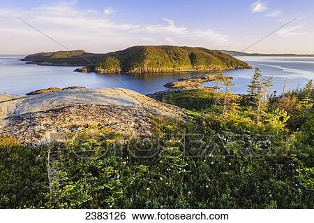 Pointe Sud at sunset; Grande Basque Island, Cote-Nord, Quebec, Canada View Large Photo Image Stock Photograph - Pointe Sud at sunset; Grande Basque Island, Cote-Nord, Quebec, Canada. Fotosearch