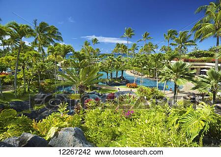 Poipu Grand Hyatt Hotel, Southern Kauai; Kauai, Hawaii, United States of America View Large Photo Image Stock Image - Poipu Grand Hyatt Hotel, Southern Kauai; Kauai, Hawaii, United States of America. Fotosearch
