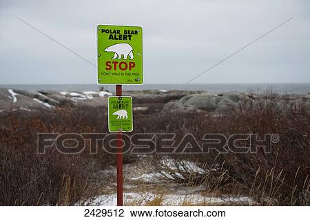 Stock Image - Polar bear warning sign on Hudson Bay; Churchill, Manitoba, Canada. Fotosearch