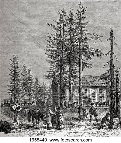 Pollard Station On Lake Donner, California, America In The 19Th Century. From El Mundo En La Mano Published 1875. View Large Photo Image Stock Image - Pollard Station On Lake Donner, California, America In The 19Th Century. From El Mundo En La Mano Published 1875.. Fotosearch