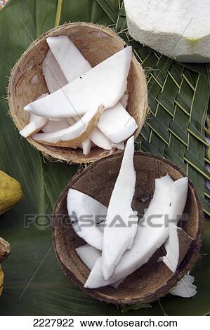 Polynesia, Coconuts Ready To Eat; Niku Hiva View Large Photo Image Stock Image - Polynesia, Coconuts Ready To Eat; Niku Hiva. Fotosearch