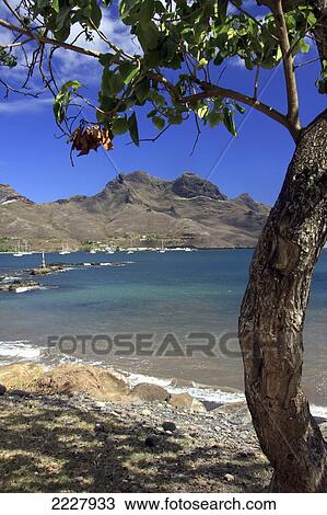 Polynesia, Landscape With Niku Hiva's Bay; Niku Hiva View Large Photo Image Stock Image - Polynesia, Landscape With Niku Hiva's Bay; Niku Hiva. Fotosearch