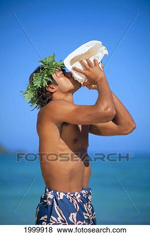 Polynesian Male With Fern Haku Blows Conch Shell, Blue Sky And Water Background View Large Photo Image Stock Photo - Polynesian Male With Fern Haku Blows Conch Shell, Blue Sky And Water Background. Fotosearch