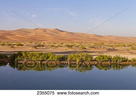 Stock Photography - Pond in Empty Quarter in Liwa Oasis; Liwa Oasis, Abu Dhabi, United Arab Emirates. Fotosearch