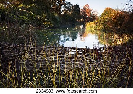 Pond In Greenwich Park In Autumn; Greenwich, London, England, Uk View Large Photo Image Stock Image - Pond In Greenwich Park In Autumn; Greenwich, London, England, Uk. Fotosearch