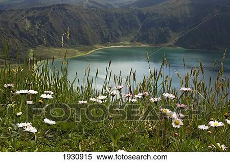 Ponta Delgada, Sao Miguel Island, Archipelago Of The Azores, Portugal View Large Photo Image Stock Photography - Ponta Delgada, Sao Miguel Island, Archipelago Of The Azores, Portugal. Fotosearch