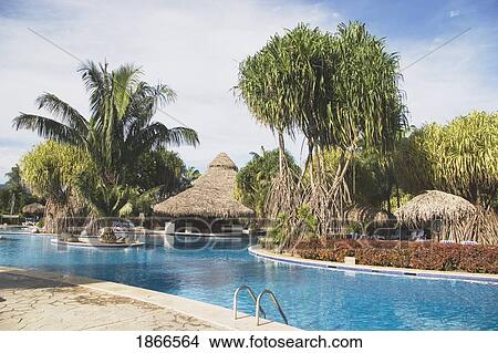 Picture - Pool Side Of A Resort With Palm Trees In Costa Rica. Fotosearch