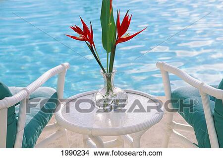 Picture - Poolside Floral Arrangement, Tropical, Red Heliconia. Fotosearch
