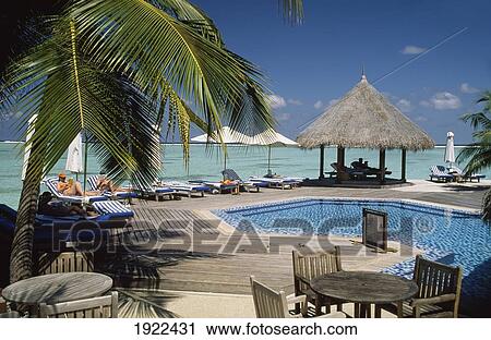 Poolside, Four Seasons Resort View Large Photo Image Stock Image - Poolside, Four Seasons Resort. Fotosearch