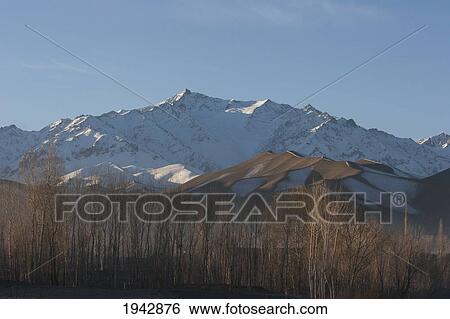 Poplar Trees And The Snow-Capped Hindu Kush Mountains Overlooking The Bamiyan Valley, Bamian Province, Afghanistan View Large Photo Image Stock Photograph - Poplar Trees And The Snow-Capped Hindu Kush Mountains Overlooking The Bamiyan Valley, Bamian Province, Afghanistan. Fotosearch