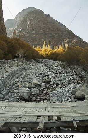 Stock Photograph - Poplar Trees In Fall By An Irrigation Canal, Khaplu, Northern Areas, Pakistan. Fotosearch