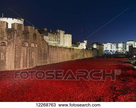 Stock Image - Poppies at Tower of London at dusk; London, England. Fotosearch