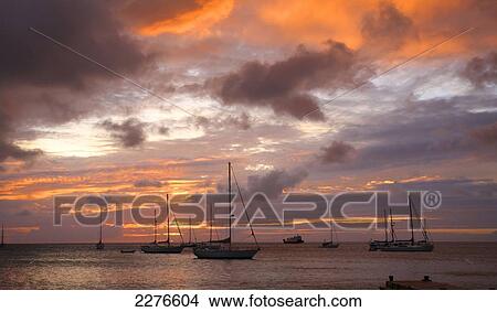Picture - Port Elizabeth at dusk; Bequia, St. Vincent and the Grenadines. Fotosearch