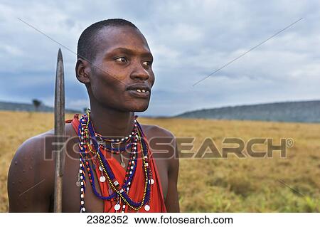Portrait of a Masai tribesman at dawn holding a spear in the Masai Mara; Kenya View Large Photo Image Stock Image - Portrait of a Masai tribesman at dawn holding a spear in the Masai Mara; Kenya. Fotosearch