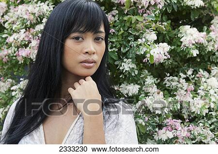 Portrait of a woman in front of a blossoming tree; Hawaii, United States of America View Large Photo Image Stock Image - Portrait of a woman in front of a blossoming tree; Hawaii, United States of America. Fotosearch