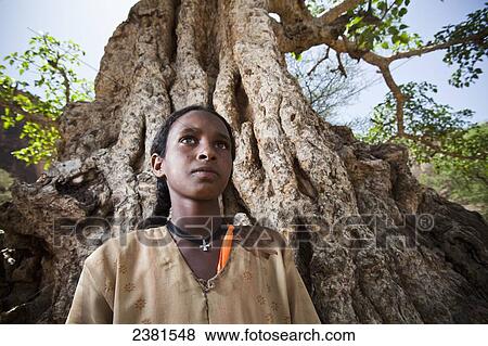 Stock Photo - Portrait of a young girl standing in front of a large tree; Ethiopia. Fotosearch