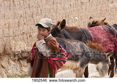 Stock Photograph - Portrait of boy with donkeys at market, Tarabuco, Chuquisaca Department, Bolivia. Fotosearch