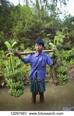 Stock Image - Portrait of Chakma boy carrying bananas; Khagrachari, Chittagong Division, Bangladesh. Fotosearch