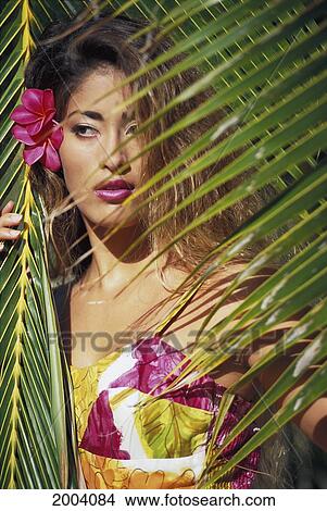 Portrait Of Hawaiian Woman Behind Palm Fronds, Bust Shot Plumeria Flower In Hair View Large Photo Image Picture - Portrait Of Hawaiian Woman Behind Palm Fronds, Bust Shot Plumeria Flower In Hair. Fotosearch