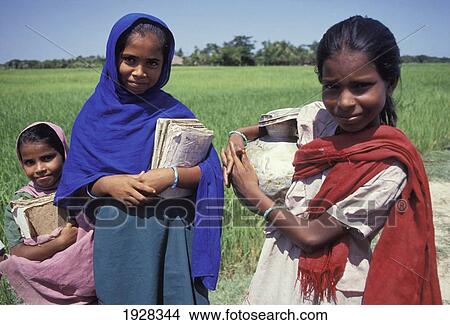 Picture - Portrait Of Three Girls In Field; Bangladesh. Fotosearch