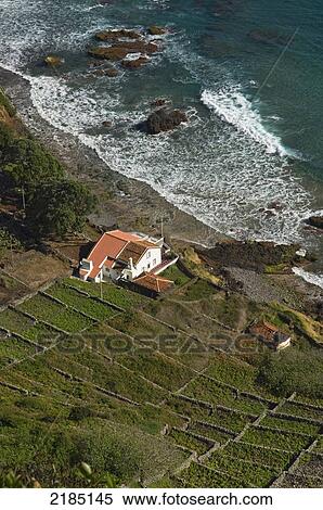 Portugal, Azores, Terraced fields in Sao Lourenco Bay; Santa Maria Island View Large Photo Image Stock Photography - Portugal, Azores, Terraced fields in Sao Lourenco Bay; Santa Maria Island. Fotosearch