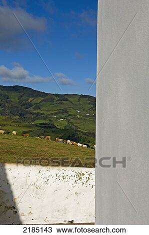 Stock Image - Portugal, Landscape of Santa Maria Island; Azores. Fotosearch