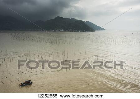 Posts and ropes in the water for fishing nets; Xiapu, Fujian, China View Large Photo Image Stock Photography - Posts and ropes in the water for fishing nets; Xiapu, Fujian, China. Fotosearch