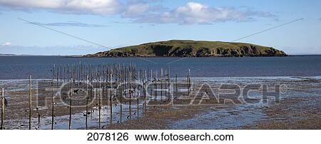 Posts In The Shallow Water Along The Coast; Dumfries And Galloway Scotland View Large Photo Image Stock Photograph - Posts In The Shallow Water Along The Coast; Dumfries And Galloway Scotland. Fotosearch