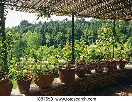 Pots On Covered Patio View Large Photo Image Stock Photo - Pots On Covered Patio. Fotosearch