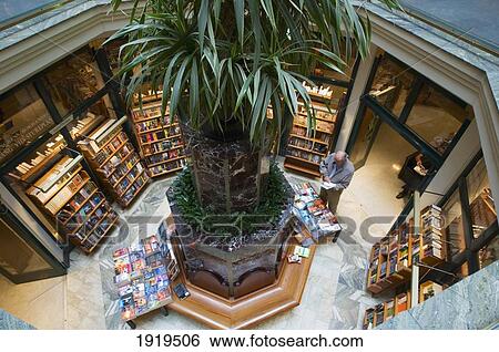 Stock Photograph - Potted Plant In Stockholm Bookshop, Sweden. Fotosearch