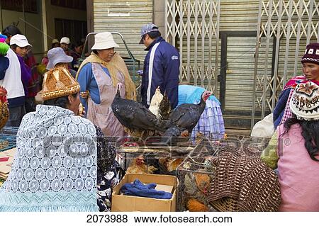 Poultry Vendor At A Street Market, El Alto, La Paz, Bolivia View Large Photo Image Stock Photo - Poultry Vendor At A Street Market, El Alto, La Paz, Bolivia. Fotosearch