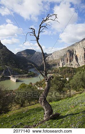 Power Generating Station Near Pantano Del Chorro; Andalusia Spain View Large Photo Image Stock Image - Power Generating Station Near Pantano Del Chorro; Andalusia Spain. Fotosearch