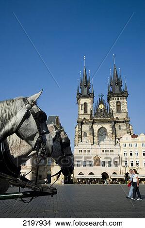 Prague, Czech Republic. Horses Patiently Waiting To Pull The Cart Of Tourists. The Old Town Square. The Church Of Our Lady Before The Tyn. View Large Photo Image Picture - Prague, Czech Republic. Horses Patiently Waiting To Pull The Cart Of Tourists. The Old Town Square. The Church Of Our Lady Before The Tyn.. Fotosearch