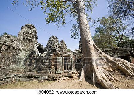 Prasat Ta Som Temple And Large Tree, Angkor, Siem Reap, Cambodia View Large Photo Image Stock Image - Prasat Ta Som Temple And Large Tree, Angkor, Siem Reap, Cambodia. Fotosearch