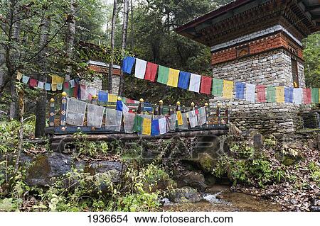 Prayer Flags Hanging In Front Of Tiger's Nest Monastery; Paro District Bhutan View Large Photo Image Picture - Prayer Flags Hanging In Front Of Tiger's Nest Monastery; Paro District Bhutan. Fotosearch