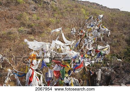 Prayer Flags On Gridhrakuta Hill, Rajgir, Bihar, India View Large Photo Image Picture - Prayer Flags On Gridhrakuta Hill, Rajgir, Bihar, India. Fotosearch