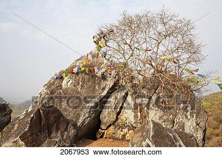 Stock Image - Prayer Flags On Gridhrakuta Hill, Rajgir, Bihar, India. Fotosearch