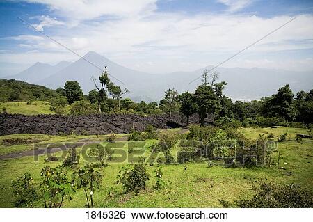 Stock Photograph - Preparation Of New Field; Antigua, Guatemala. Fotosearch