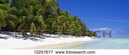 Pristine Beach; Raratonga, Cook Islands View Large Photo Image Stock Photo - Pristine Beach; Raratonga, Cook Islands. Fotosearch