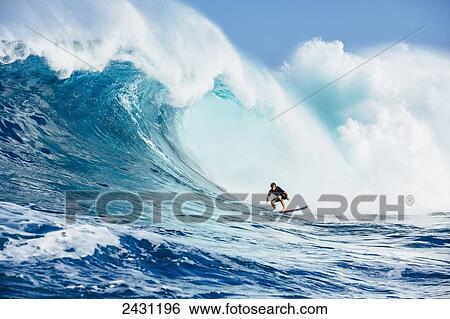 Professional surfer Albee Layer paddling into large waves at the infamous big wave spot know as Jaws or Peahi; Maui, Hawaii, United States of America View Large Photo Image Stock Photograph - Professional surfer Albee Layer paddling into large waves at the infamous big wave spot know as Jaws or Peahi; Maui, Hawaii, United States of America. Fotosearch