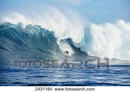Professional surfer Jamie O'Brien surfing on large waves at the infamous big wave spot know as Jaws or Peahi; Maui, Hawaii, United States of America View Large Photo Image Picture - Professional surfer Jamie O'Brien surfing on large waves at the infamous big wave spot know as Jaws or Peahi; Maui, Hawaii, United States of America. Fotosearch