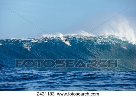 Professional surfer Jamie O'Brien paddling into large waves at the infamous big wave spot know as Jaws or Peahi; Maui, Hawaii, United States of America View Large Photo Image Stock Image - Professional surfer Jamie O'Brien paddling into large waves at the infamous big wave spot know as Jaws or Peahi; Maui, Hawaii, United States of America. Fotosearch