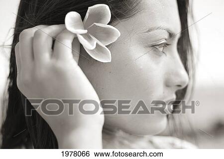 Profile Of Beautiful Young Woman With A Plumeria In Her Hair (Sepia Photograph). View Large Photo Image Stock Photograph - Profile Of Beautiful Young Woman With A Plumeria In Her Hair (Sepia Photograph).. Fotosearch